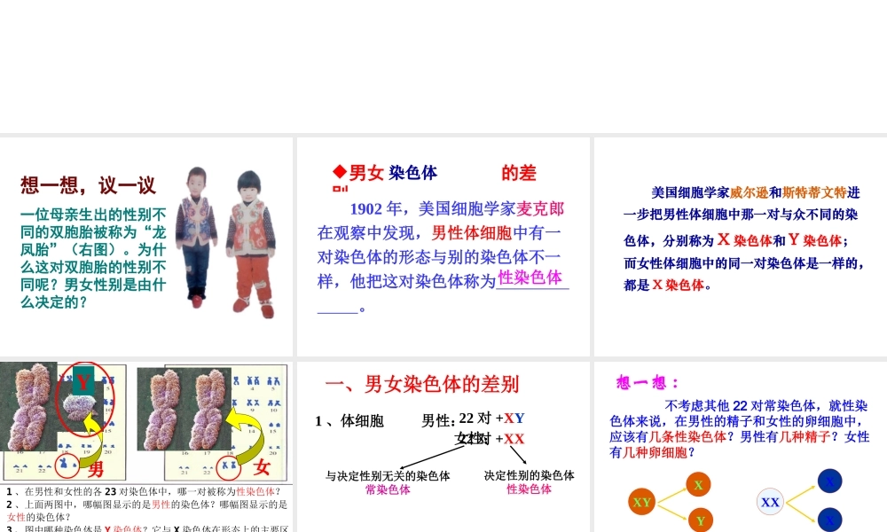 八年级生物下册 7.2.4人的性别遗传课件1 （新版）新人教版-（新版）新人教级下册生物课件