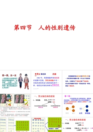 八年级生物下册 7.2.4人的性别遗传课件1 （新版）新人教版-（新版）新人教级下册生物课件