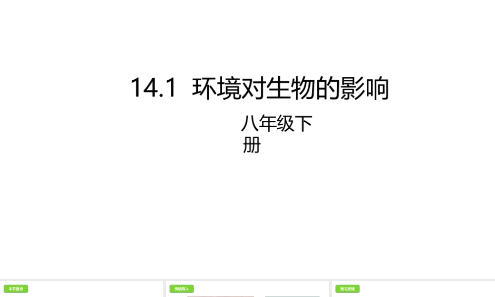 八年级生物下册 14.1 环境对生物的影响课件 北京课改版-北京课改级下册生物课件