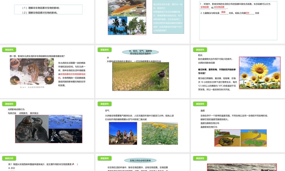 八年级生物下册 14.1 环境对生物的影响课件 北京课改版-北京课改级下册生物课件