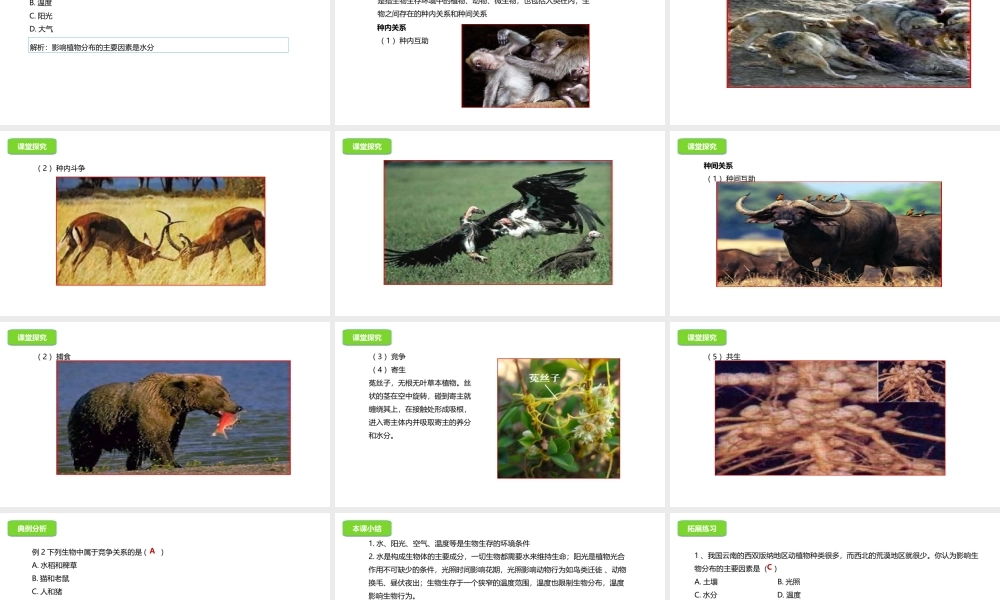 八年级生物下册 14.1 环境对生物的影响课件 北京课改版-北京课改级下册生物课件
