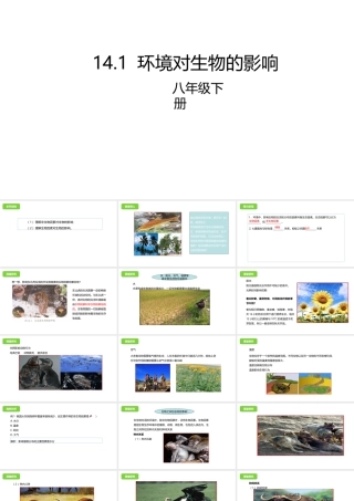 八年级生物下册 14.1 环境对生物的影响课件 北京课改版-北京课改级下册生物课件