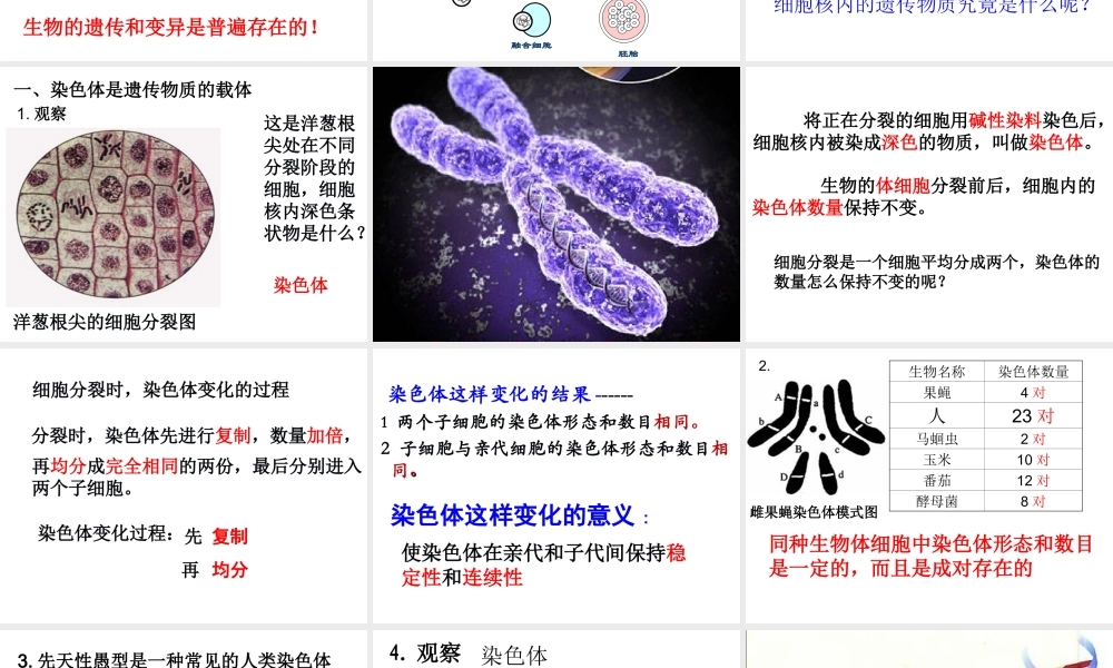 八年级生物下册 7.2 生物的遗传和变异课件 新人教版-新人教级下册生物课件