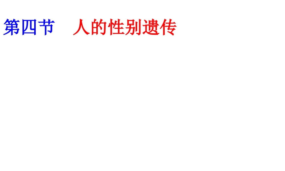 八年级生物下册 7.2.4人的性别遗传课件2 （新版）新人教版-（新版）新人教版初中八年级下册生物课件