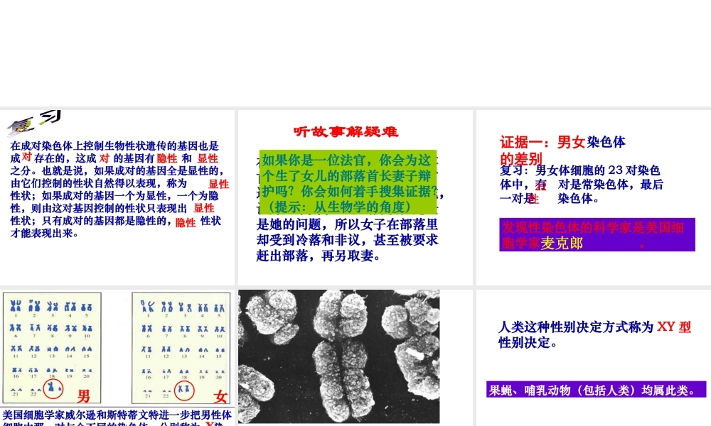 八年级生物下册 7.2.4人的性别遗传课件2 （新版）新人教版-（新版）新人教版初中八年级下册生物课件