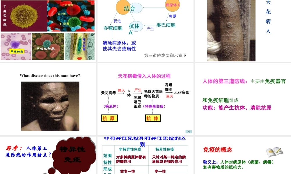 八年级生物下册 8.1.2免疫与计划免疫课件2 （新版）新人教版-（新版）新人教级下册生物课件