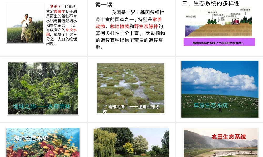 八年级生物下册 6.2 认识生物的多样性课件 （新版）新人教版-（新版）新人教版初中八年级下册生物课件