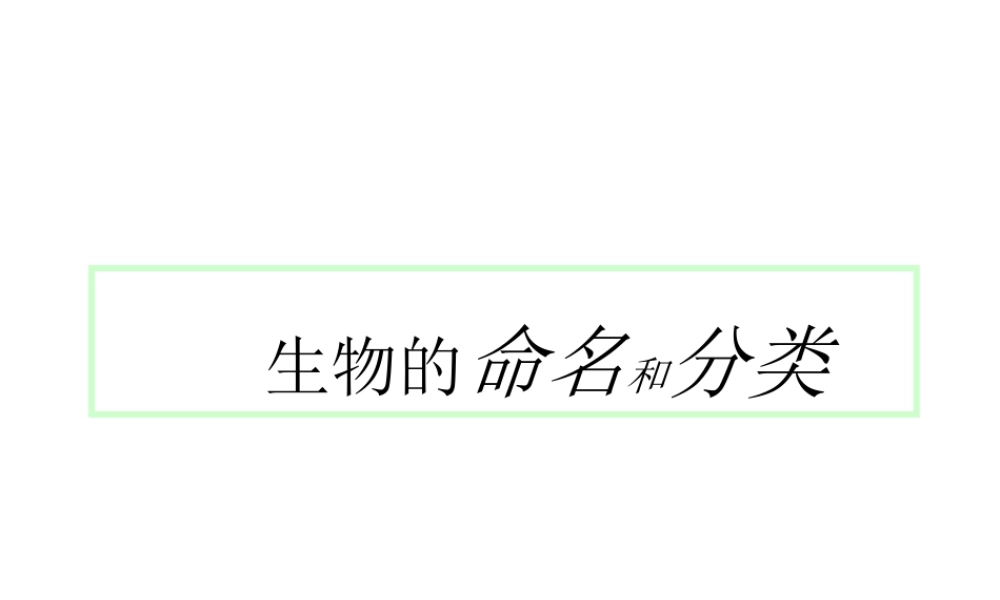 八年级生物下册 14.1 生物的分类和命名课件1 北京课改版