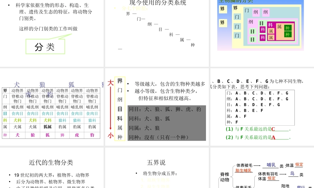 八年级生物下册 14.1 生物的分类和命名课件1 北京课改版