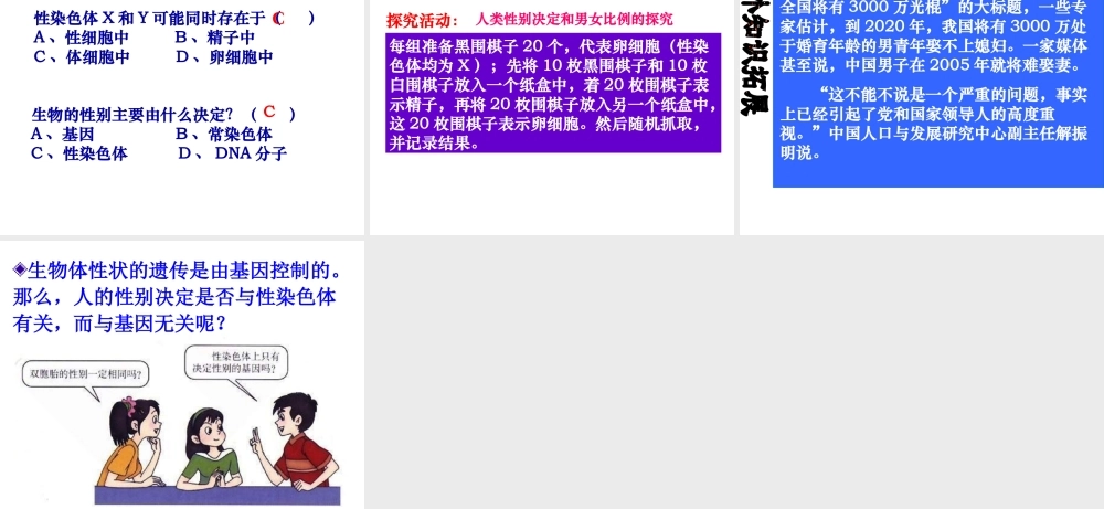 八年级生物下册 7.2.4人的性别遗传课件2 （新版）新人教版-（新版）新人教级下册生物课件