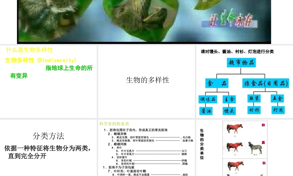 八年级生物下册 14.1 生物的分类和命名课件2 北京课改版
