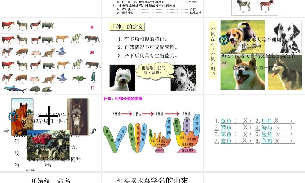 八年级生物下册 14.1 生物的分类和命名课件2 北京课改版