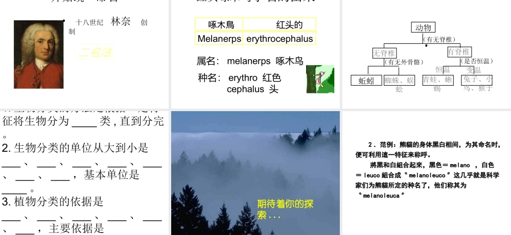八年级生物下册 14.1 生物的分类和命名课件2 北京课改版