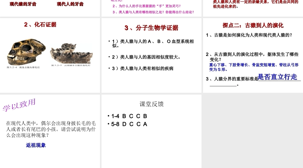 八年级生物下册 5.2.1 人类的起源课件 （新版）济南版-（新版）济南版初中八年级下册生物课件