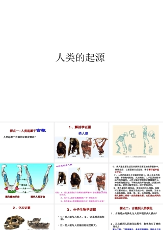 八年级生物下册 5.2.1 人类的起源课件 （新版）济南版-（新版）济南版初中八年级下册生物课件