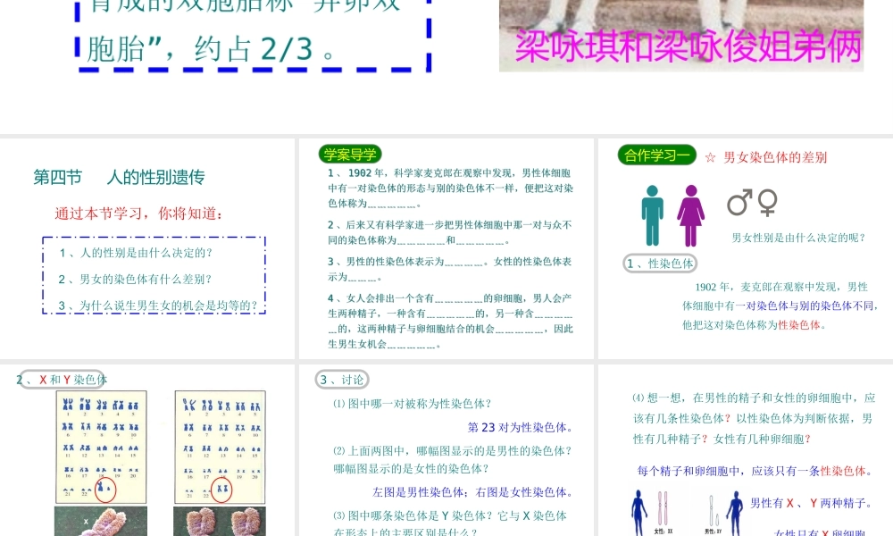 八年级生物下册 7.2.4人的性别遗传课件3 （新版）新人教版-（新版）新人教版初中八年级下册生物课件