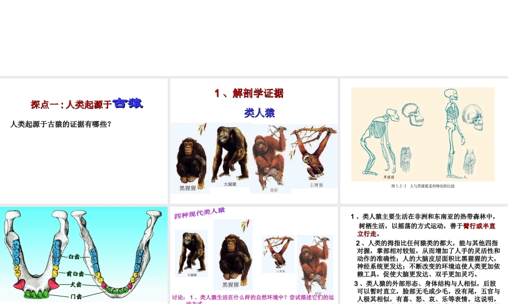 八年级生物下册 5.2.1 人类的起源课件 （新版）济南版-（新版）济南级下册生物课件