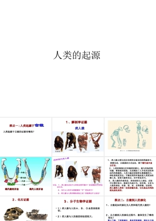 八年级生物下册 5.2.1 人类的起源课件 （新版）济南版-（新版）济南级下册生物课件