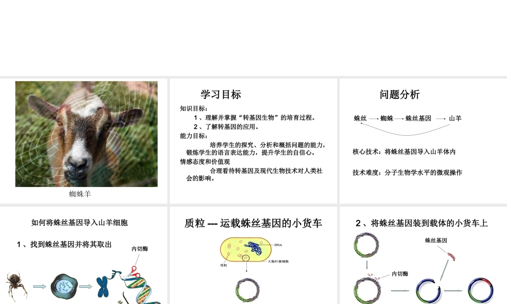 八年级生物下册 7.2.1 基因工程课件 （新版）济南版-（新版）济南版初中八年级下册生物课件