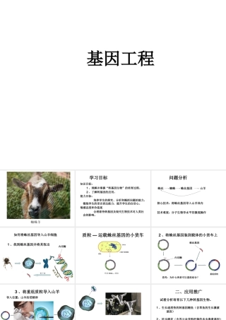 八年级生物下册 7.2.1 基因工程课件 （新版）济南版-（新版）济南版初中八年级下册生物课件