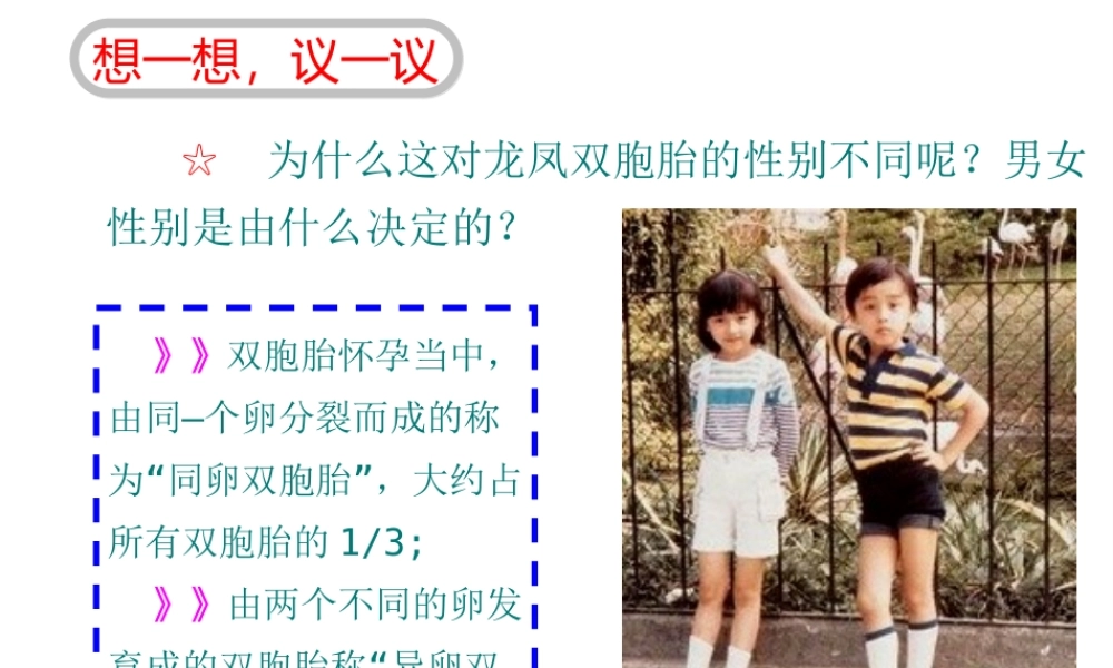 八年级生物下册 7.2.4人的性别遗传课件3 （新版）新人教版-（新版）新人教级下册生物课件