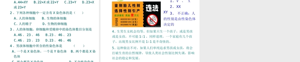 八年级生物下册 7.2.4人的性别遗传课件3 （新版）新人教版-（新版）新人教级下册生物课件