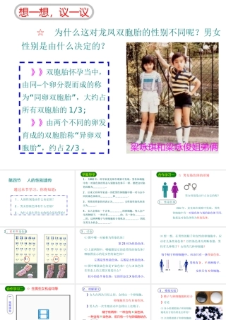 八年级生物下册 7.2.4人的性别遗传课件3 （新版）新人教版-（新版）新人教级下册生物课件