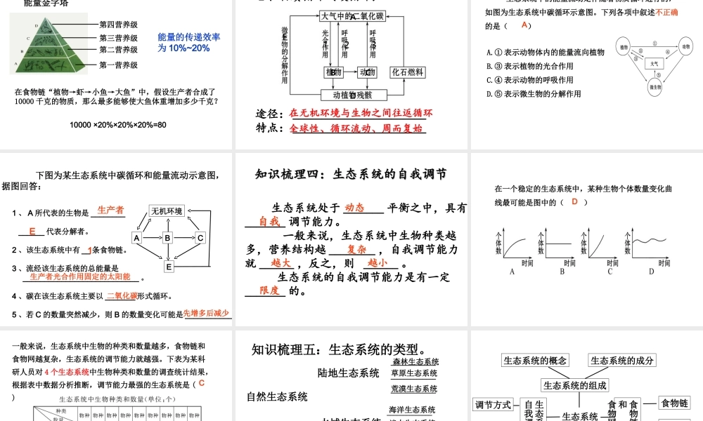 八年级生物下册 6.2 生态系统复习课件 （新版）济南版