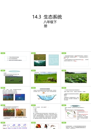 八年级生物下册 14.3 生态系统课件 北京课改版-北京课改级下册生物课件