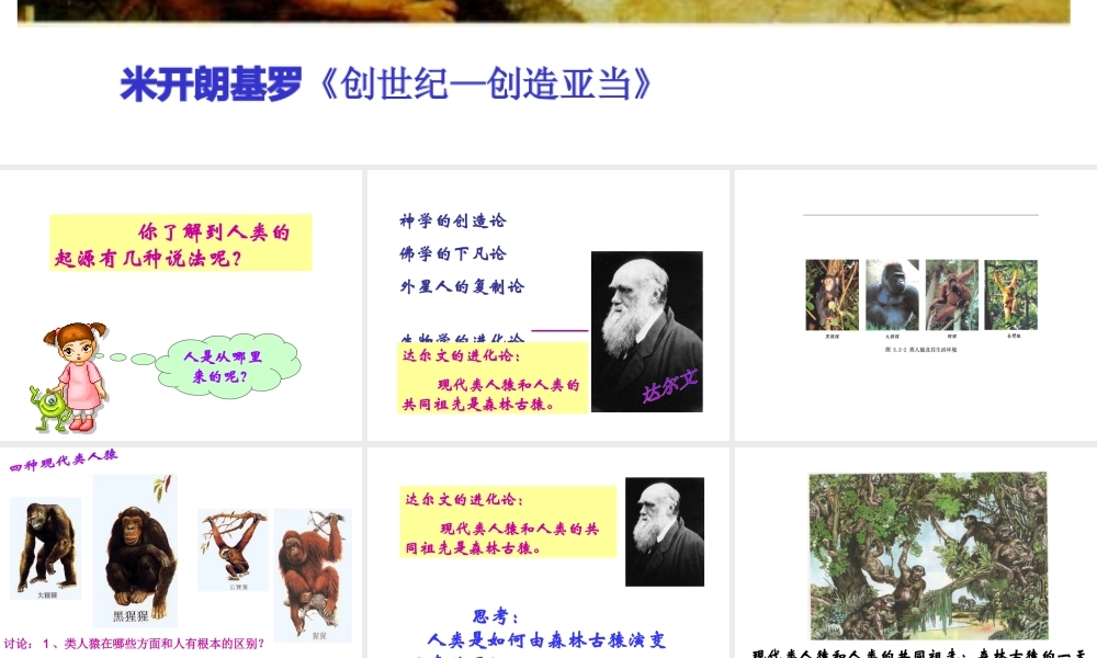 八年级生物下册 5.2.1《人类的起源》课件 济南版