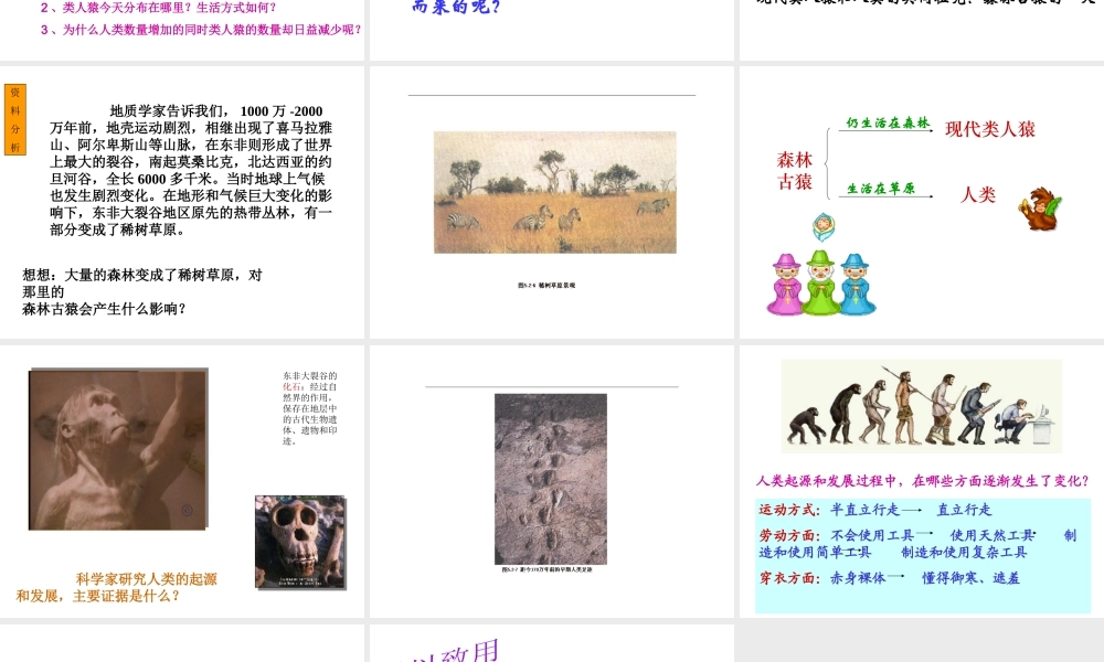 八年级生物下册 5.2.1《人类的起源》课件 济南版