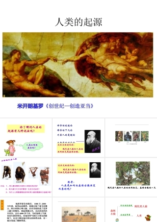 八年级生物下册 5.2.1《人类的起源》课件 济南版