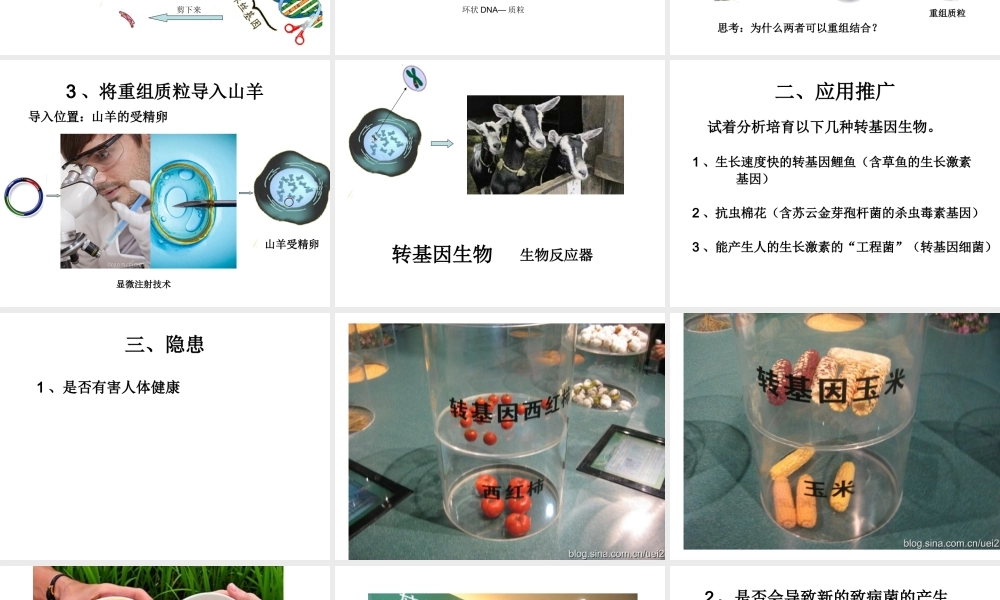 八年级生物下册 7.2.1 基因工程课件 （新版）济南版-（新版）济南级下册生物课件