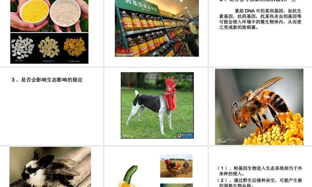 八年级生物下册 7.2.1 基因工程课件 （新版）济南版-（新版）济南级下册生物课件