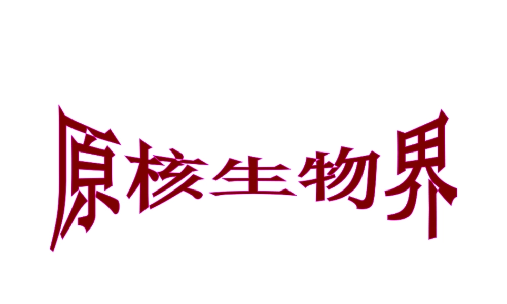 八年级生物下册 14.3 原核生物界课件2 北京课改版