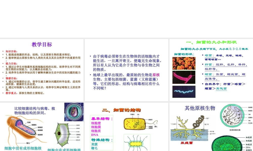 八年级生物下册 14.3 原核生物界课件2 北京课改版