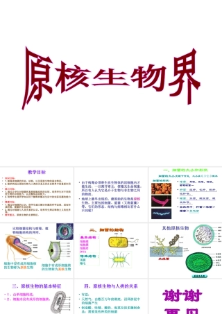 八年级生物下册 14.3 原核生物界课件2 北京课改版