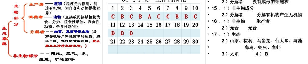 八年级生物下册 6.2.1 生态系统的组成课件 （新版）济南版-（新版）济南版初中八年级下册生物课件