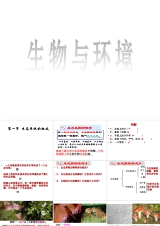 八年级生物下册 6.2.1 生态系统的组成课件 （新版）济南版-（新版）济南版初中八年级下册生物课件