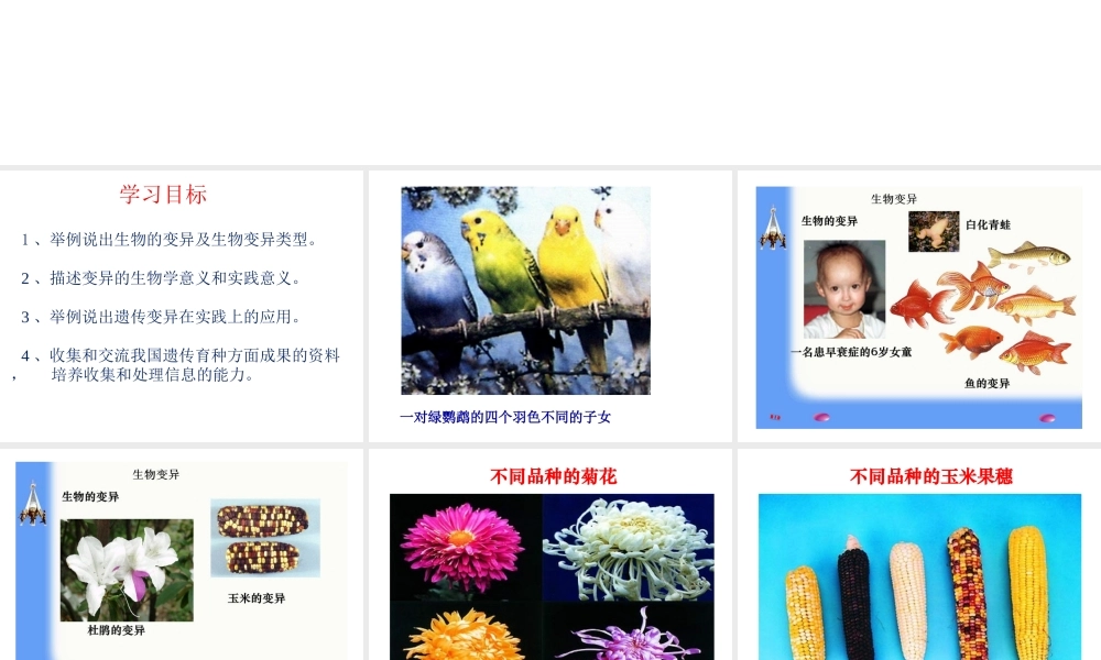 八年级生物下册 7.2.5 生物的变异（第1课时）课件 （新版）新人教版-（新版）新人教版初中八年级下册生物课件