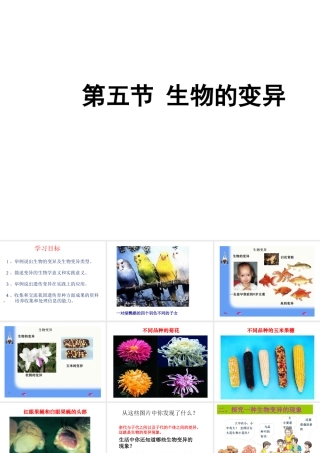 八年级生物下册 7.2.5 生物的变异（第1课时）课件 （新版）新人教版-（新版）新人教版初中八年级下册生物课件