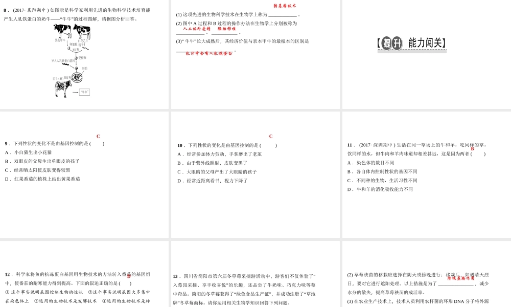 八年级生物下册 7.2.1 基因控制生物的性状（第1课时 基因控制生物的性状）课件 （新版）新人教版-（新版）新人教版初中八年级下册生物课件