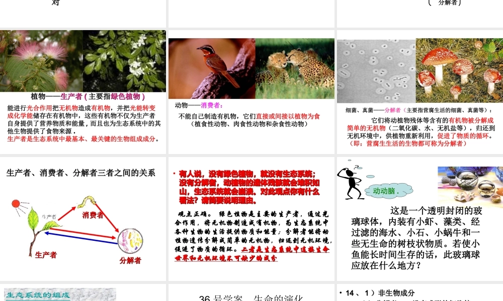 八年级生物下册 6.2.1 生态系统的组成课件 （新版）济南版-（新版）济南级下册生物课件