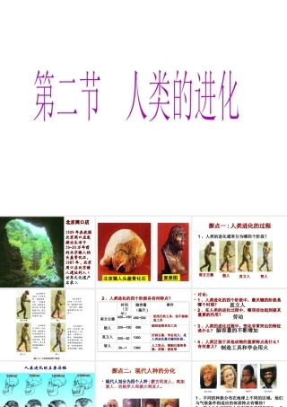 八年级生物下册 5.2.2 人类的进化课件 （新版）济南版-（新版）济南级下册生物课件