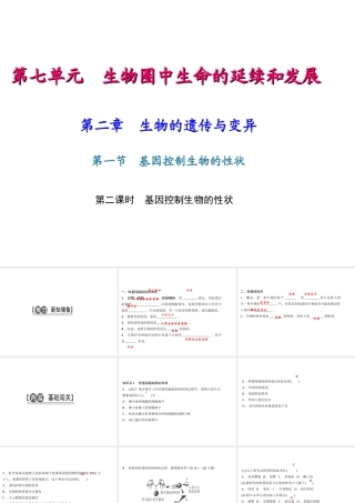 八年级生物下册 7.2.1 基因控制生物的性状（第1课时 基因控制生物的性状）课件 （新版）新人教版-（新版）新人教级下册生物课件