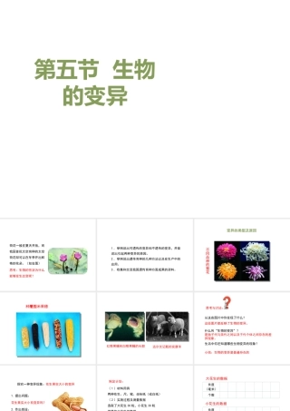 八年级生物下册 7.2.5 生物的变异教学课件 （新版）新人教版-（新版）新人教版初中八年级下册生物课件