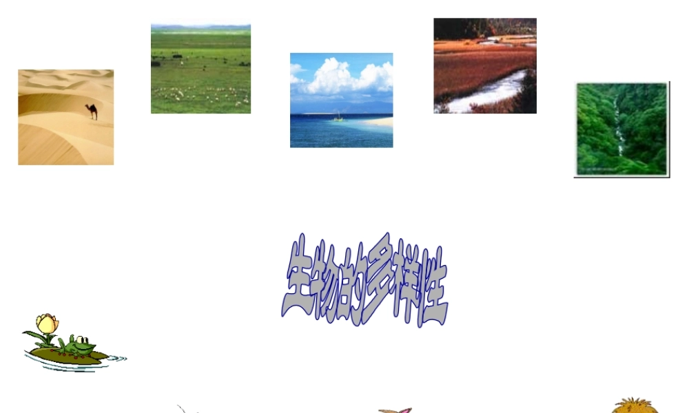 八年级生物下册 6.2.1《生物的多样性》课件 济南版