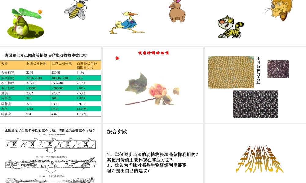 八年级生物下册 6.2.1《生物的多样性》课件 济南版