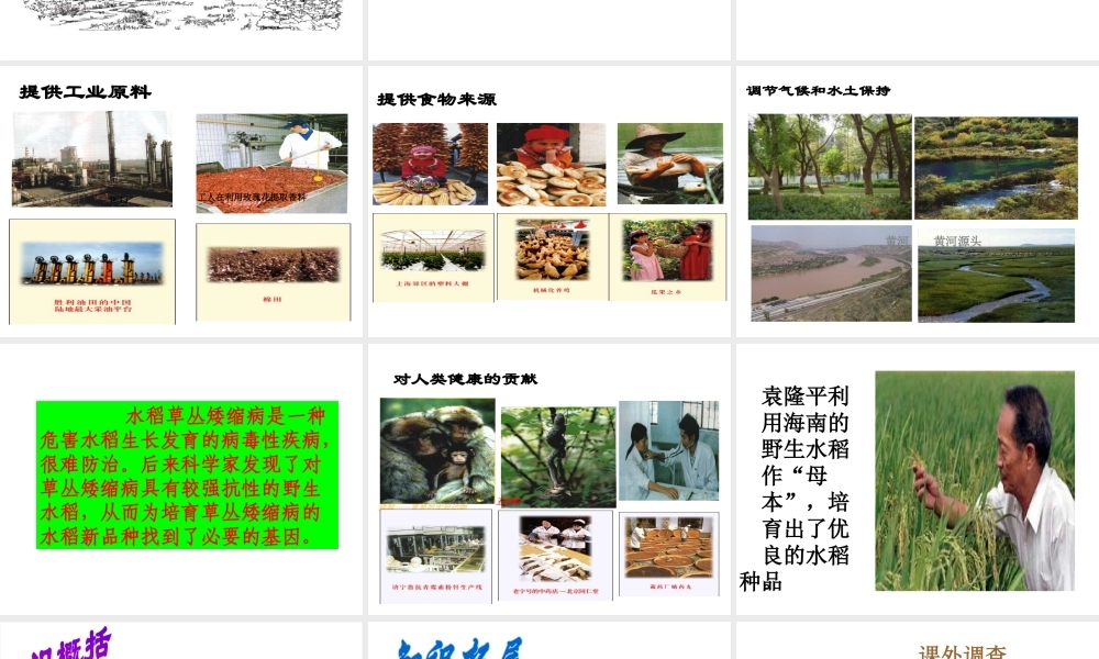 八年级生物下册 6.2.1《生物的多样性》课件 济南版