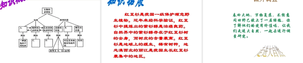 八年级生物下册 6.2.1《生物的多样性》课件 济南版